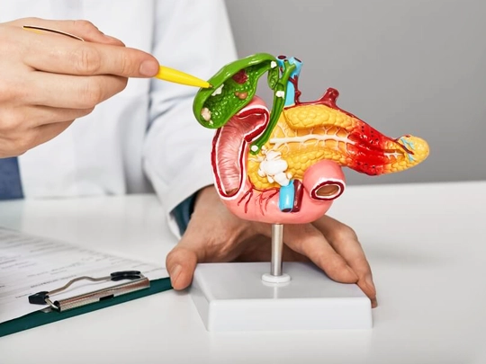 Safra Kesesi, Yolları ve Taşı