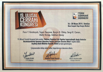 Ödüller